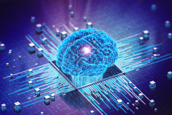 Istock 1495819409 1.jpg